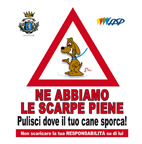 Ne abbiamo le scarpe piene