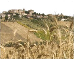 Grano_Ostra_[320x200]