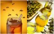 LOGO_OLIO_MIELE