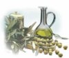 LOGO_OLIO_small